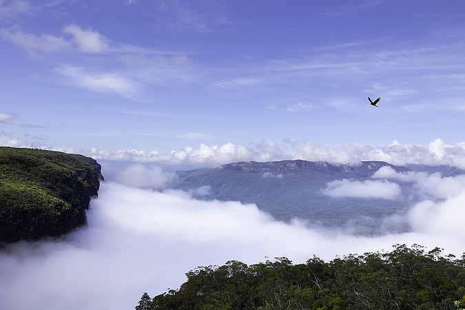 Wentworth Falls